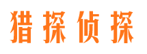 华龙市调查公司